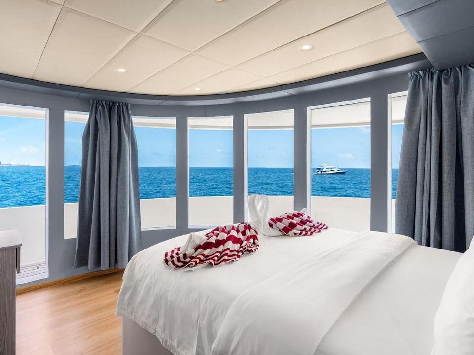 Upper-deck double: A bed that faces a wall of curved windows. The upper-deck doubles are the cabins with sea views.